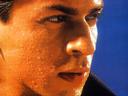 shahrukh3
